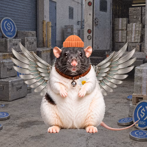 Fat Cat Bat Rat Wif Hat #01009