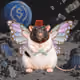 3422