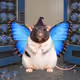6787