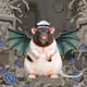 704