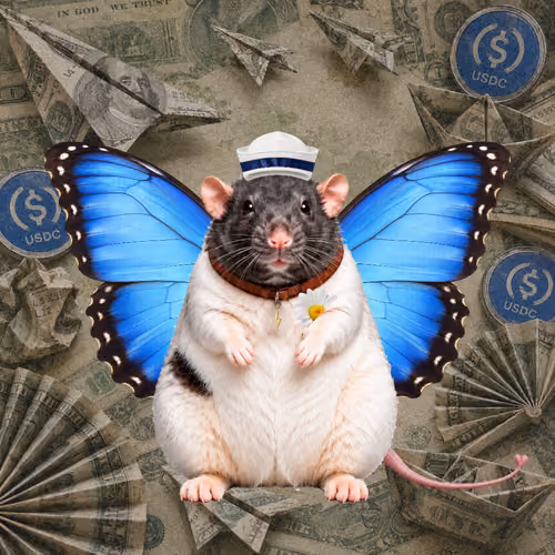Fat Cat Bat Rat Wif Hat #00188