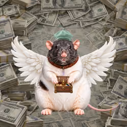 Fat Cat Bat Rat Wif Hat #05864