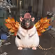 7554