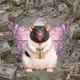7080