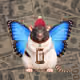 Fat Cat Bat Rat Wif Hat #00777