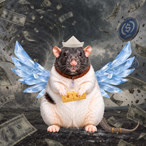 Fat Cat Bat Rat Wif Hat #02677