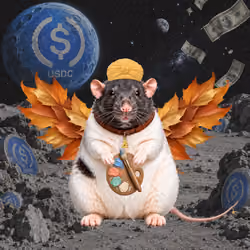 Fat Cat Bat Rat Wif Hat #01922