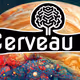 Cerveau AI genesis collection