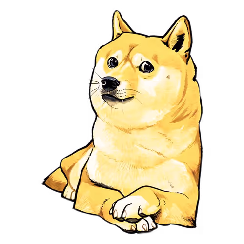 dgboy