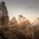 Test Collection Avalenche