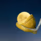 VirtualCosmos