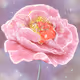 Tenderness
