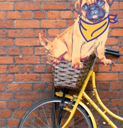 Adventure Animals