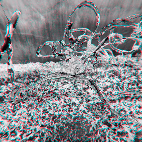 Disposable Narcissism