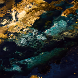 Dragongold