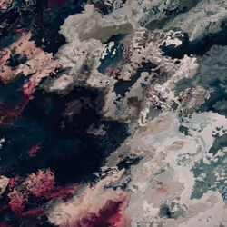Petals