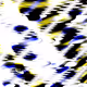 77