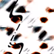 81