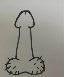 81