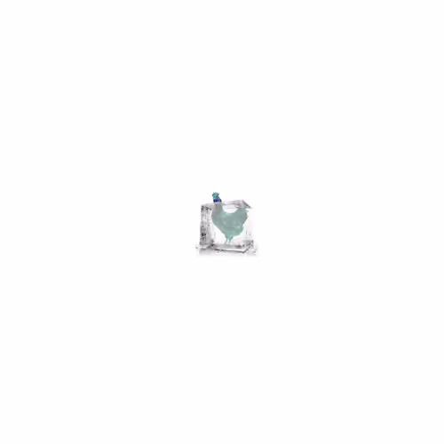 Item #7 Media