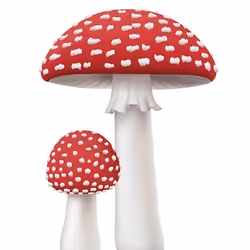 fly agaric