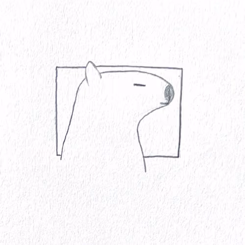bear 29