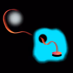 #8