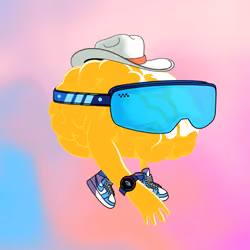 504