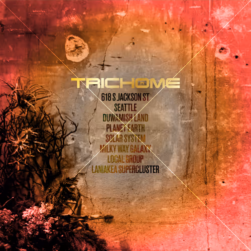 Trichome Crypto Gel Tabs V1-C