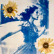 Cyanotype Dreams