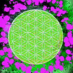 267