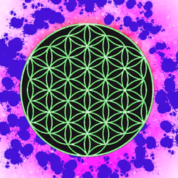#253