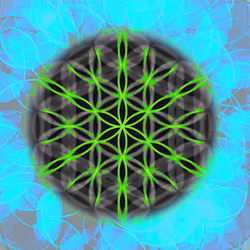 662