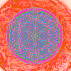 1362