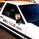 DOG CAR