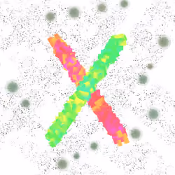 X