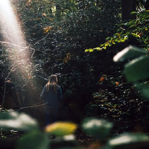 Into the Light