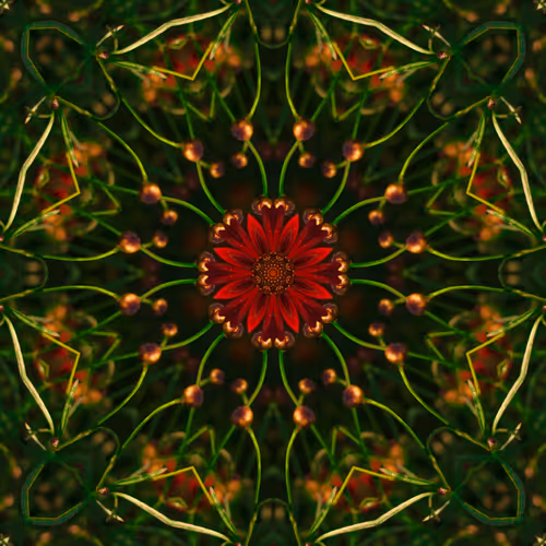 🔺15🔺 RED FLOWER