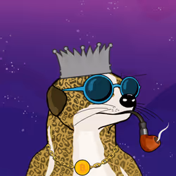 Avax Meerkats #657
