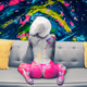 Embodied Abstraction