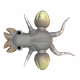 Defjnite