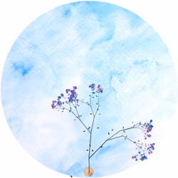 TREE 110