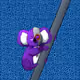 147
