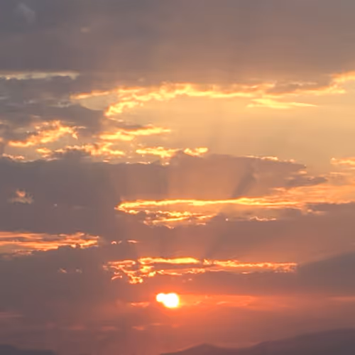 Test Nature Collection