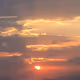 Test Nature Collection