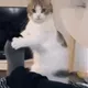 0x2637743c0540a26add053e3b0ec1a05780ca272b