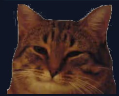 Luci1