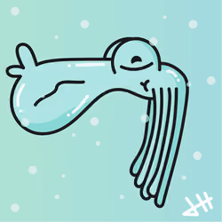 Cuddle Fish