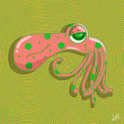 Cuddle Fish