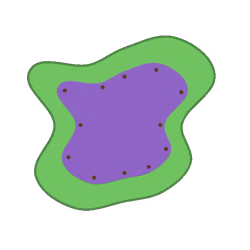 aarqrex